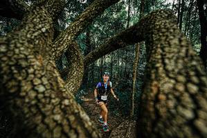 BIB: 
                            <button type="button" onclick="openModal(25670950)" class="btn btn-primary btn-sm float-right btn-popup" data-toggle="modal" data-target=".modal-high-quality">
                        <i class="fas fa-shopping-cart"></i> Add to Cart
                    </button>
                                            <button type="button" onclick="isThisMe(25670950, true)" class="btn btn-success btn-sm float-right btn-popup btn-isme hidden" data-toggle="tooltip" data-placement="bottom" title="นี่คือรูปของคุณใช่ไหม คลิกที่นี่เพื่อเอาเข้าอัลบั้ม">
                        <i class="fas fa-plus"></i> Add to album
                    </button>
                    <button type="button" onclick="isThisMe(25670950, false)" class="btn btn-warning btn-sm float-right btn-popup btn-isnotme hidden">
                        <i class="fas fa-ban"></i> Remove from album
                    </button>